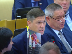 Краснодарский депутат Госдумы захотел российского вина в самолётах