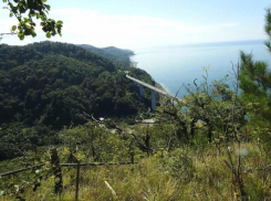 К руководству претензий нет: в Сочинском нацпарке прокомментировали скандал с украденной землей