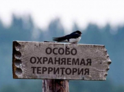 На Кубани создадут 40 новых особо охраняемых природных зон 