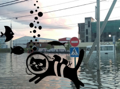 Заплыв в «море» на Московской хотят устроить в Краснодаре