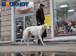 Стало известно, когда в Краснодар придет похолодание 