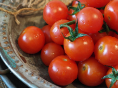 Покупаем овощи оптом и сидим дома