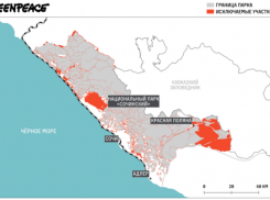 На похищенные в нацпарке Сочи 11 тысяч участков наложили арест