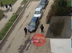  Женщину, убившую своего 3-летнего ребенка, нашли мертвой на улице в Краснодаре 