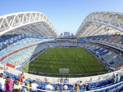 Сочинский «Фишт» может не принять матч Россия-Чехия