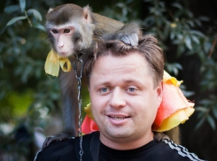 Сочинцы требуют ужесточить наказание за издевательство над животными 