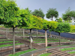 Арт-объекты и японский сад: невероятные фото из парка Галицкого в Краснодаре