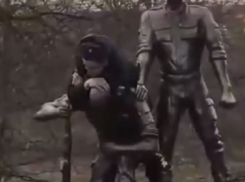 В Минобороны пообещали наказать солдат за осквернение памятника на Кубани