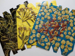 Картины из мусора покажут в Краснодаре