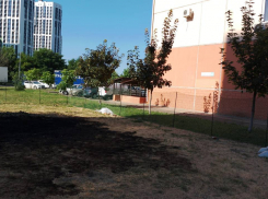 В одном из дворов Краснодара ночью сожгли детский надувной батут местного предпринимателя