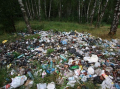 Мэрия пообещала решить проблему мусорных свалок в Краснодаре с помощью пабликов 