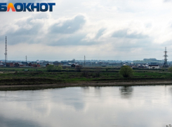 В станице Краснодарского края у коров нашли вирус лейкоза