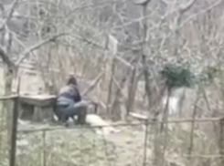 Жестокий живодер, убивший собственную собаку в Сочи, попал на видео