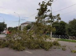 Непогода обесточила троллейбусы в Краснодаре