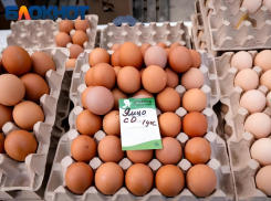 Яйца и детское питание возглавили список подорожавших продуктов в Краснодаре
