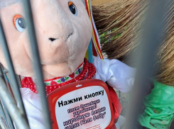 Украинские плюшевые овцы напугали краснодарцев