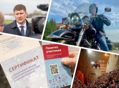 Краснодарцы покупают QR-коды, находят трупы собак, не верят в нового мэра и умирают от COVID-19 - итоги четверга