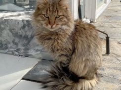 В Краснодарском крае похолодает 