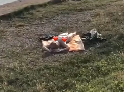 Голую девушку застукали у набережной в Краснодаре