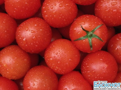 На Кубани была задержана партия турецких томатов