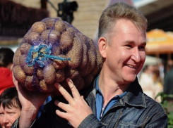 В Краснодар возвращаются ярмарки выходного дня