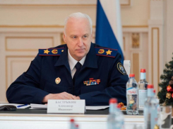 Бастрыкин поручил доложить о нападении собаки на ребенка в Краснодаре  