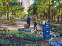 «Негатив и ругань каждый день»: как благоустраивают Николаевский бульвар в Краснодаре