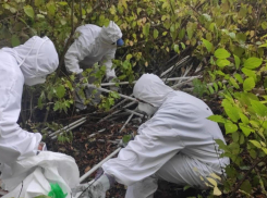 Свалку ртутных ламп в Краснодаре ликвидировали 