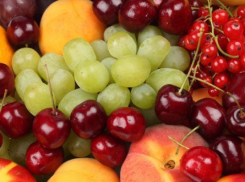 Фрукты и ягоды из Сомали и Афганистана запретили ввозить в Россию