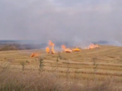 «Горит всё, дымит страшно»: жители Краснодарского края задыхаются из-за сжигания рисовой соломы и боятся за экологию