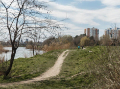 В Народном парке Краснодара могут создать велодорожку