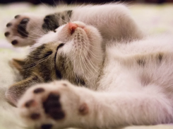  На Кубани наконец-то потеплеет, а дождь прекратится 