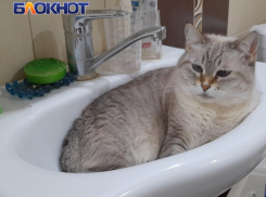 В Краснодаре 27 февраля массово отключат воду