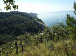  Прокуратура возбудила дело о присвоении земель Сочинского нацпарка 