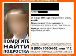 В Краснодаре пропал 13-летний школьник