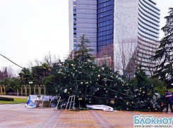 В Сочи из-за шторма рухнула новогодняя елка