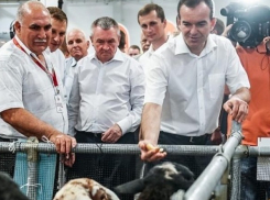 Кубанская продукция должна быть доступна каждому жителю края и страны - Вениамин Кондратьев