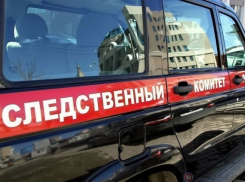На Кубани по факту ДТП с 8 детьми возбудили уголовное дело