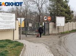 Радоница в Краснодаре 2023: нерабочий день и запуск спецрейсов на кладбище