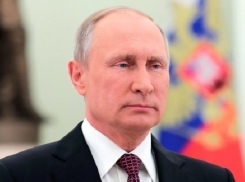 Путин не поедет на конгресс нацдиалога Сирии в Сочи