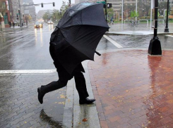 Погода на Кубани сегодня будет дождливой и ветренной 