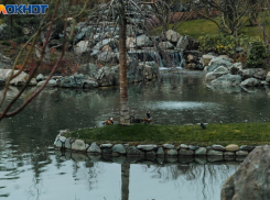 Снег с дождем придет в Краснодар в начале недели