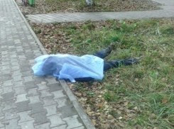В Адыгее в «десятке», которая  врезалась в дерево, насмерть разбились два человека