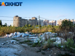 В Краснодаре 4 марта стартует двухмесячник чистоты 