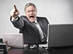 Как выглядит типичный босс в Краснодаре?