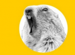 «Рекорд России поставлен!»: 101 раз прослушал одну и ту же песню житель Краснодарского края