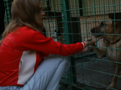 Модель Наталья Водянова ищет хозяев для бездомного слепого пса из Сочи