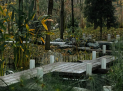 До +3 градусов опустятся столбики термометров в Краснодаре