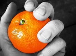 Мандаринов в Краснодаре все меньше из-за непогоды и Турции