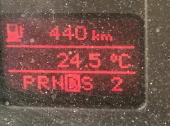 Маргарита Симоньян в тоске по Краснодару порассуждала о деградации образования